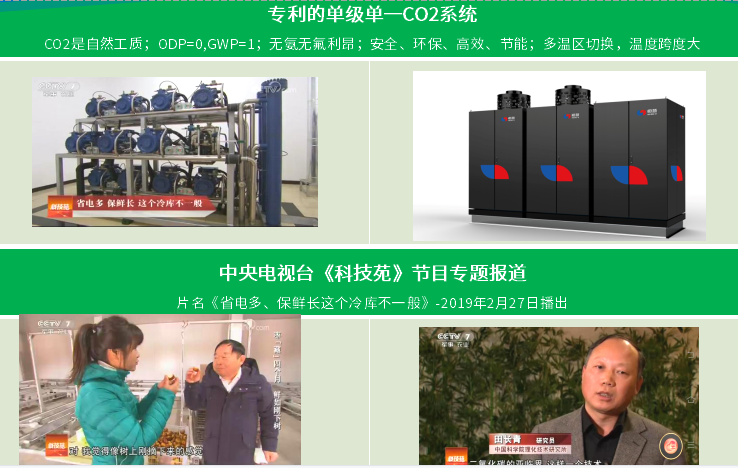 單級二氧化碳制冷系統(tǒng)(圖1)